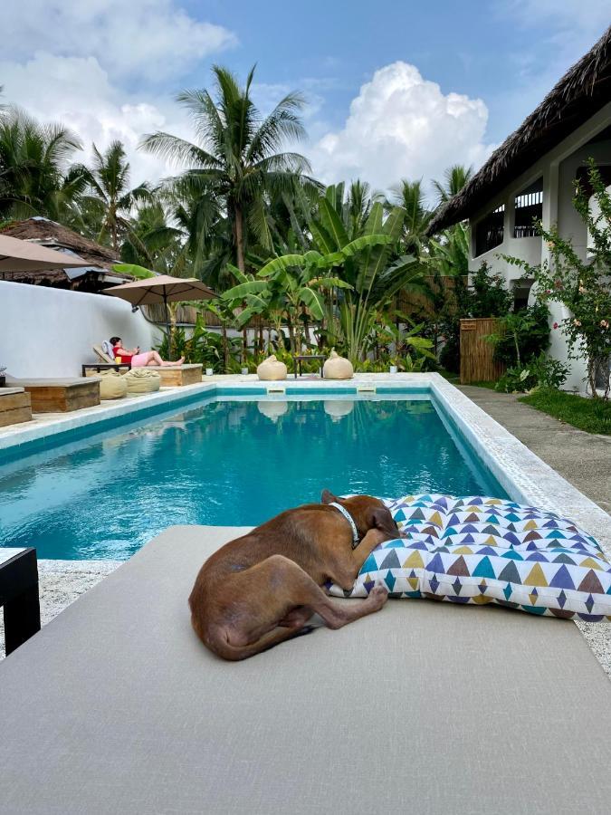 Parrots Boutique Resort San Vicente  Eksteriør billede
