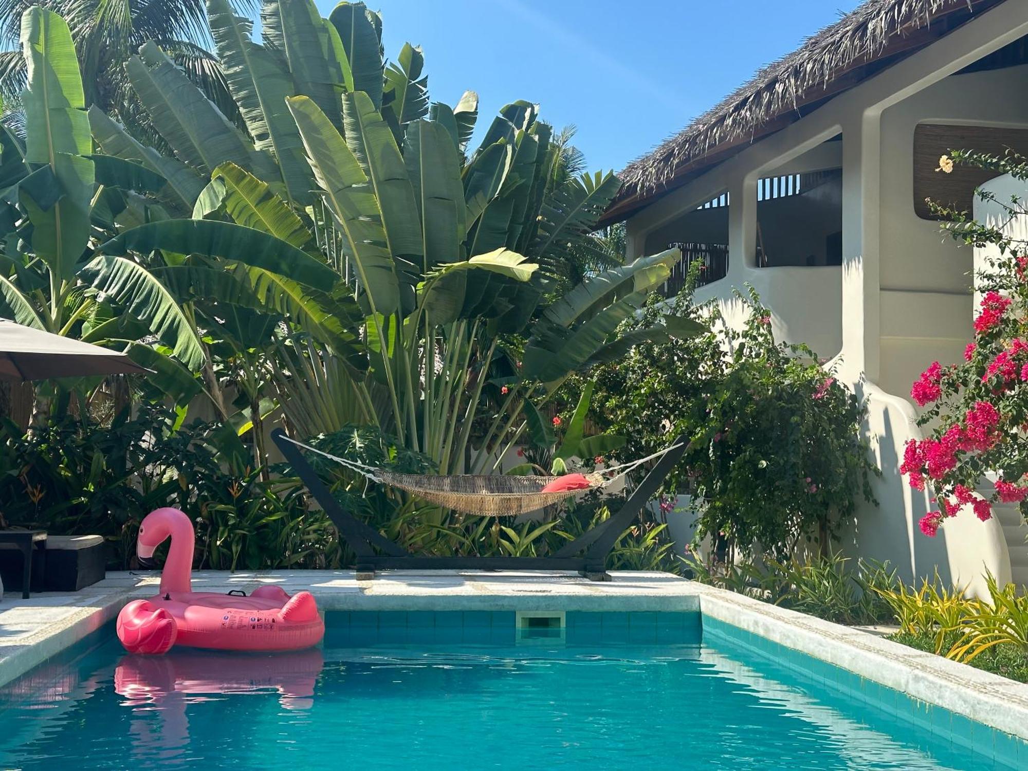 Parrots Boutique Resort San Vicente  Eksteriør billede